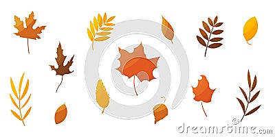 leaves foliage autumn set elements forest colored Vector Illustration