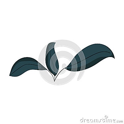 Leaves foliage greeney vegetation plant isolated icon Vector Illustration