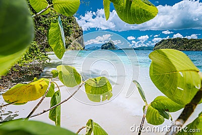 Leaves framed shot of bizarre amazing Pinagbuyutan island made beach on Lagen Island. El Nido, Palawan, Philippines Stock Photo