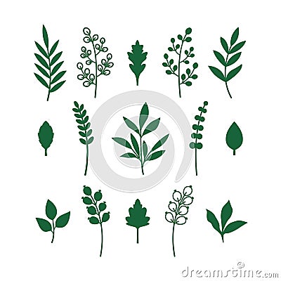 Leaves Green Branch Foliage bundle Greenery for Rolled Flowers template Vector Illustration