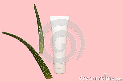 Leaves of a green medicinal flower of aloe vera. White container for cream. Stock Photo