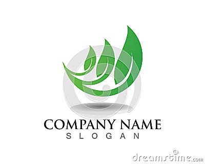 Leaves green nature logos and symbols Stock Photo