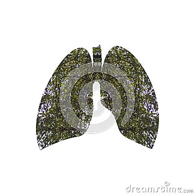 Leaves inscribed in the shape of the lungs Stock Photo