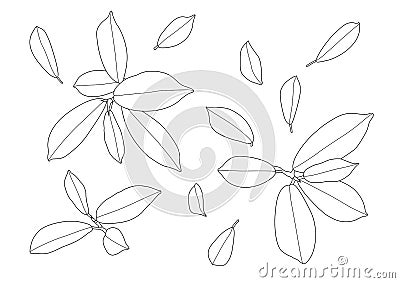 Leaves line and Single leaf on white background Cartoon Illustration