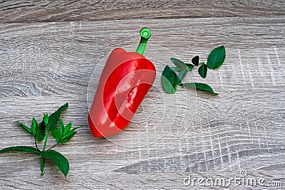 leaves of mint and one big red tasty pepper, objective photography, place for writing Stock Photo