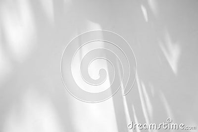 Leaves natural shadow overlay on white texture background, for overlay on product presentation Stock Photo