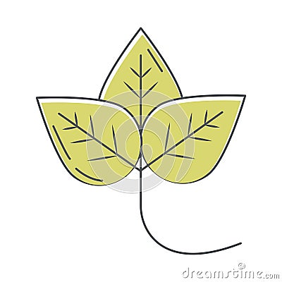 Leaves organic ecology nature line and fill Vector Illustration