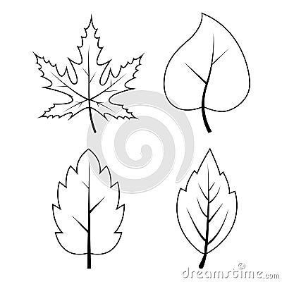 Leaves outline autumn symbols collection. Contour of autumnal falling leaf. Sketch shape set isolated on white. Illustration of Vector Illustration