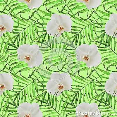 Leaves palm trees with orchid seamless pattern green Stock Photo