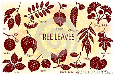 Leaves of Plants Pictogram Set Vector Illustration