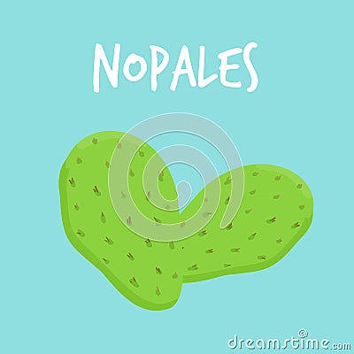 Leaves of a prickly pear cactus call nopales Vector Illustration