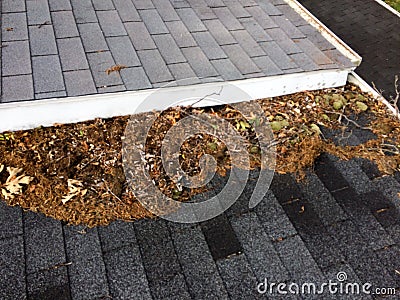 Leaves on rooftop with gutter Stock Photo