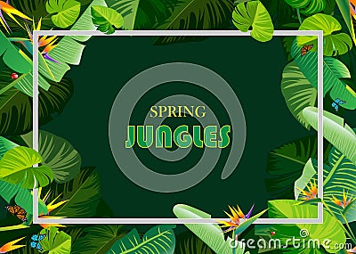 Spring jungles backgrounds s Stock Photo