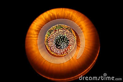 LED bulb with interesting patterns, mikroskop, kosmos color, Stock Photo