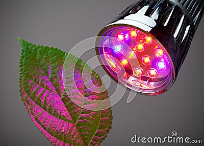 LED grow light Stock Photo