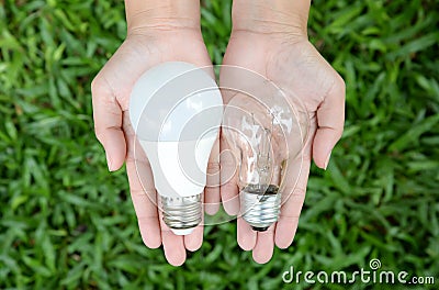 LED and Incandescent bulbs - Choice of energy Stock Photo