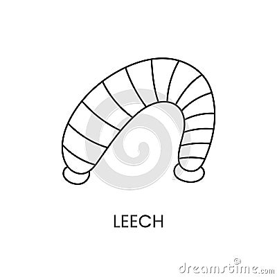 Leech line icon in vector, alternative medicine illustration. Vector Illustration