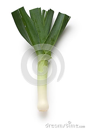 Leek Stock Photo