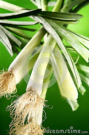 Leek on green background Stock Photo