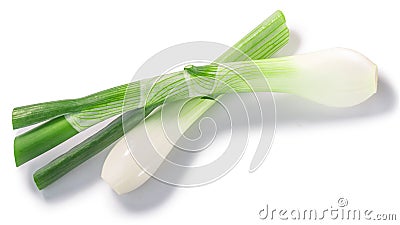 Leek or green spring onion stems with bulb crossed isolated w clipping paths, top view Stock Photo