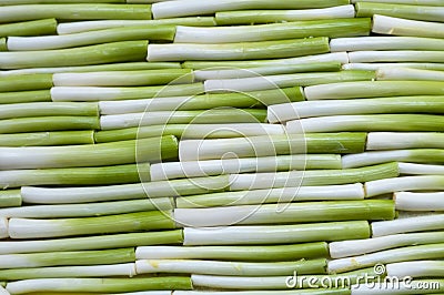 Leek in line Stock Photo