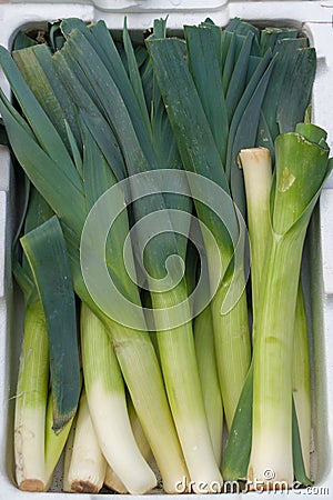 Leeks on display at the greengrocers Stock Photo