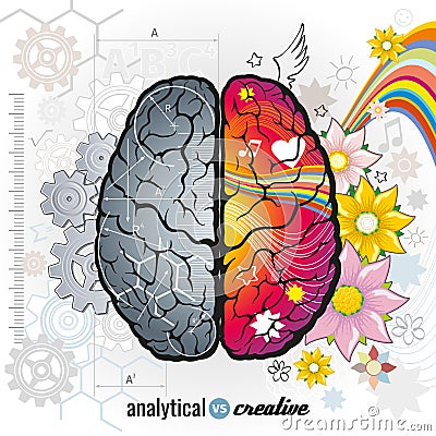 Left analytical and right creativity brain Vector Illustration