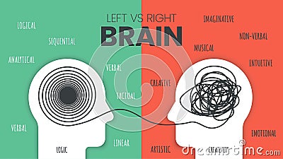 Left Brain vs. Right Brain Dominance infographic template. How the human brain works theory. Creative people right-brained and Vector Illustration