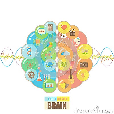 Left and right brain bubbles concept Vector Illustration