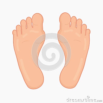 Left and right foot soles illustration for footwear, shoe concepts, medical, health, massage, spa, acupuncture centers etc. Realis Vector Illustration