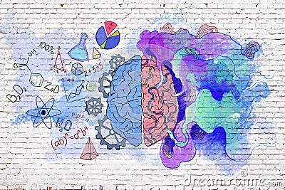 Left and right human brain concept with handwriting sketches of creative and logic symbols on light brick wall Stock Photo