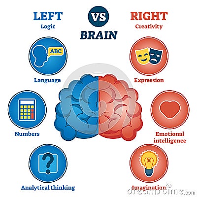 Left versus right brain traits diagram Vector Illustration