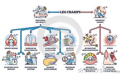 Leg cramps division and medical causes for acute sharp pain outline diagram Vector Illustration