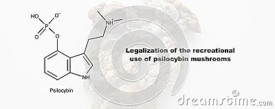 Legalization of the recreational use of psilocybin mushrooms, psilocybin and its effect on the human body Stock Photo