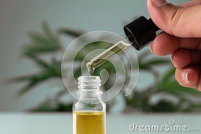 Legalized cannabis sativa hemp leaf and container of CBD oil with dropper lid. Stock Photo