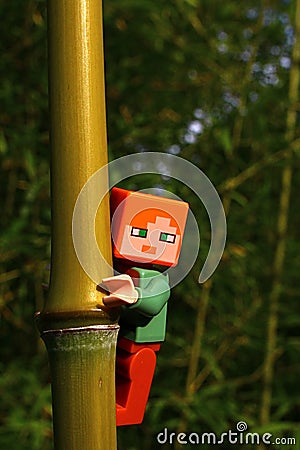 LEGO Minecraft figure of Alex embracing nodal part of bamboo plant from Phyllostachys genus. Editorial Stock Photo
