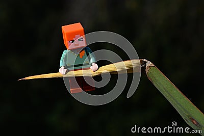 LEGO Minecraft figure of Alex traversing on tip of partially dried leaf of Yucca tree. Editorial Stock Photo