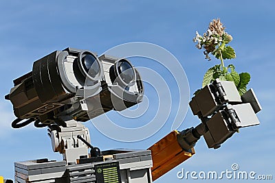 LEGO Wall-E from Disney Pixar movie of the same name, holding example of cat attractive plant Catnip Editorial Stock Photo