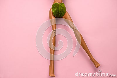 legs of a doll with a green leaf covering the crotch on a pastel pink background Stock Photo