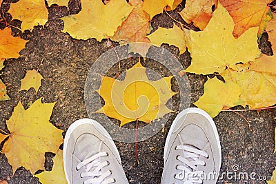 Legs and leaves on the ground Stock Photo