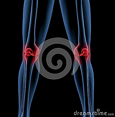 Legs of a medical skeleton Stock Photo