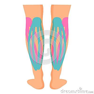 Legs muscle kinesio icon cartoon vector. Sport tape Vector Illustration