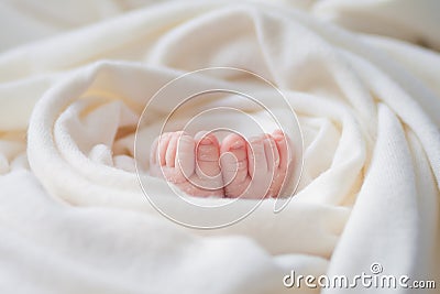 Legs of a newborn baby in peels of skin wrapped in white cloth, tiny cute toes Stock Photo