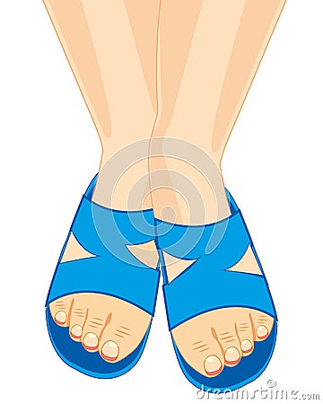 Legs in schist Vector Illustration