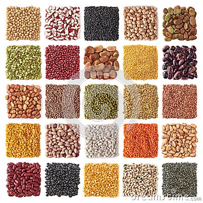 Legume Stock Photo