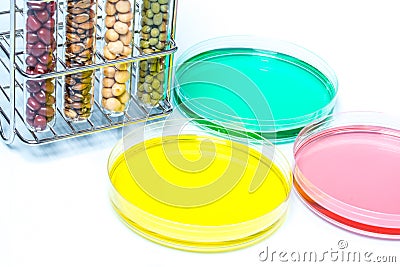 Legume with Wheat genetically modified, Plant Cell Stock Photo