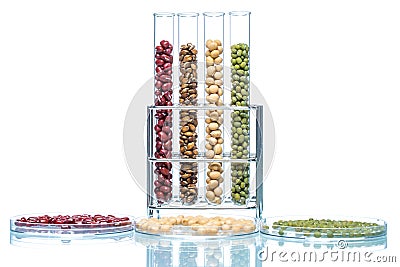 Legume with Wheat genetically modified, Plant Cell Stock Photo