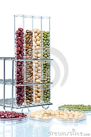 Legume with Wheat genetically modified, Plant Cell Stock Photo