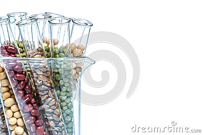 Legume with Wheat genetically modified, Plant Cell Stock Photo
