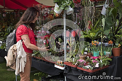 Leiden, Netherlands - May 12, 2018: Annual flower market with s Editorial Stock Photo